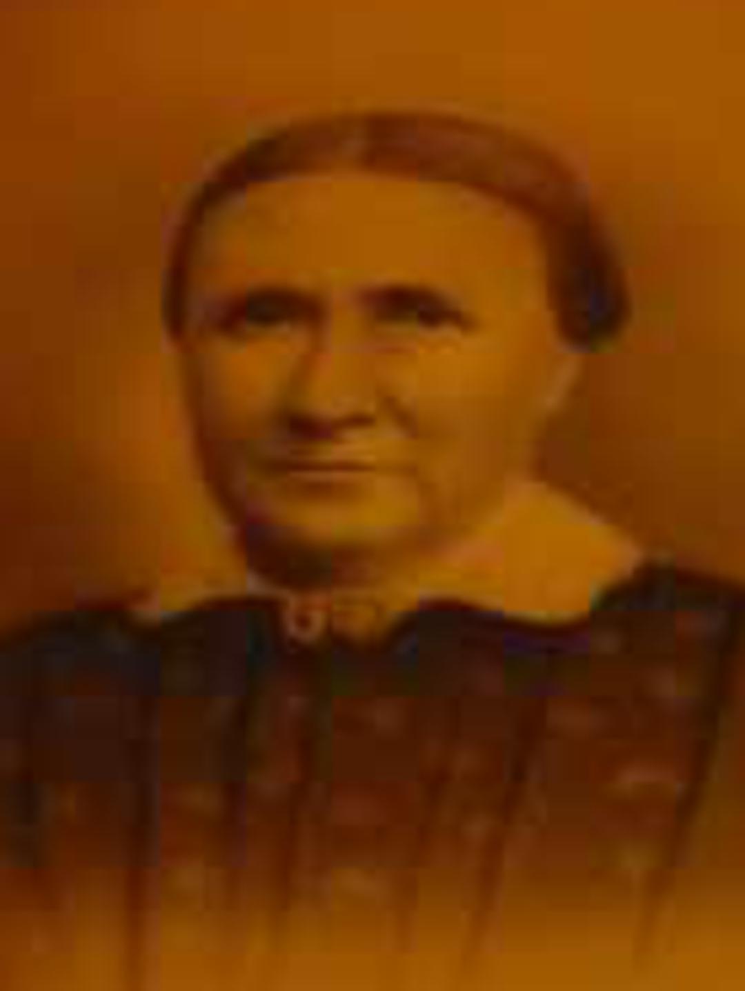 Ellen Benbow (1825 - 1901) Profile